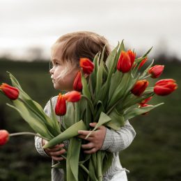 Mainstory Fotografie Family29